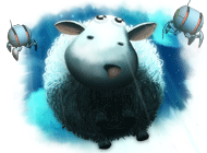 Běžící ovce